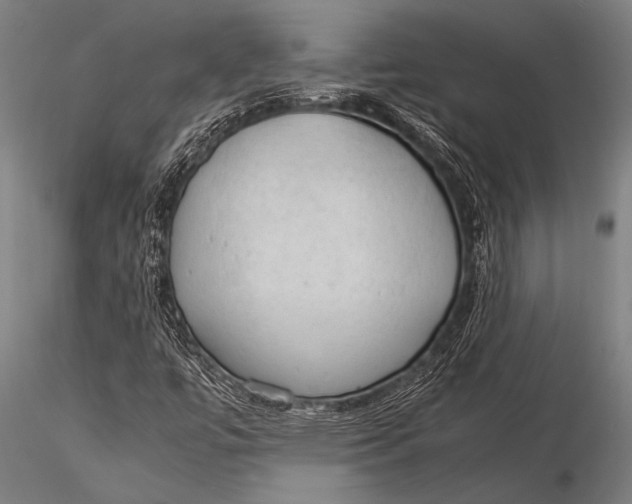 X0000116021447200912111340