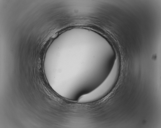 X0000116021449200912111340