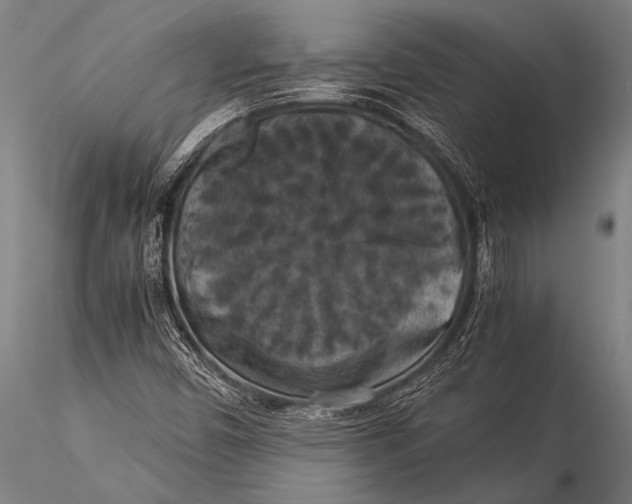 X0000116021450200912111340