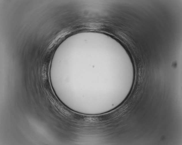 X0000116021451200912111340