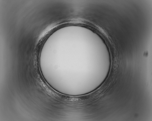 X0000116021456200912111340