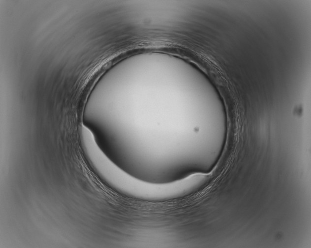 X0000116021457200912111340