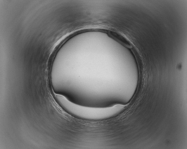 X0000116021460200912111340