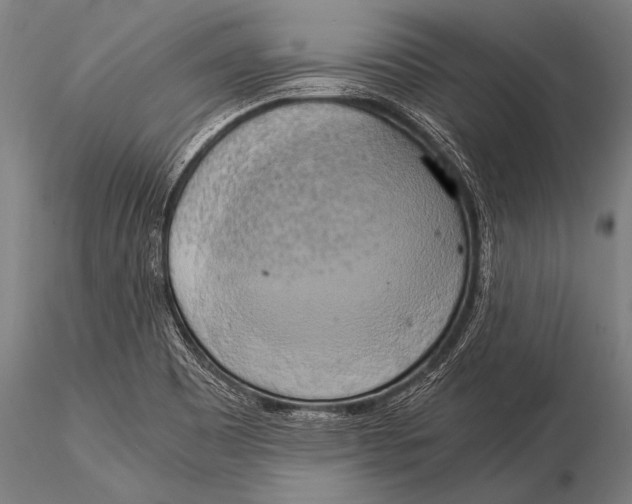 X0000116021465200912111340