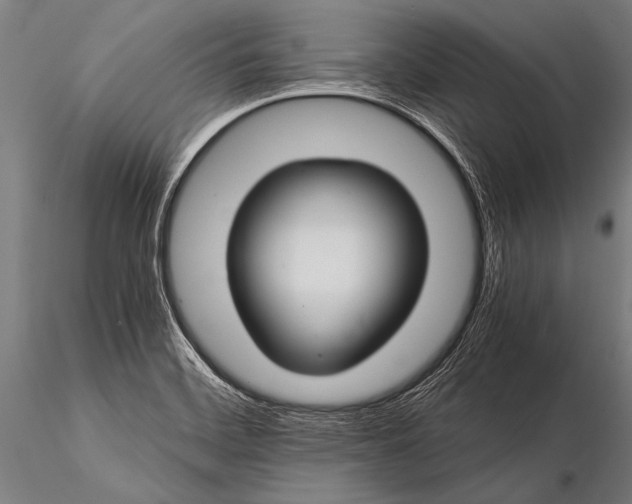 X0000116021468200912111340