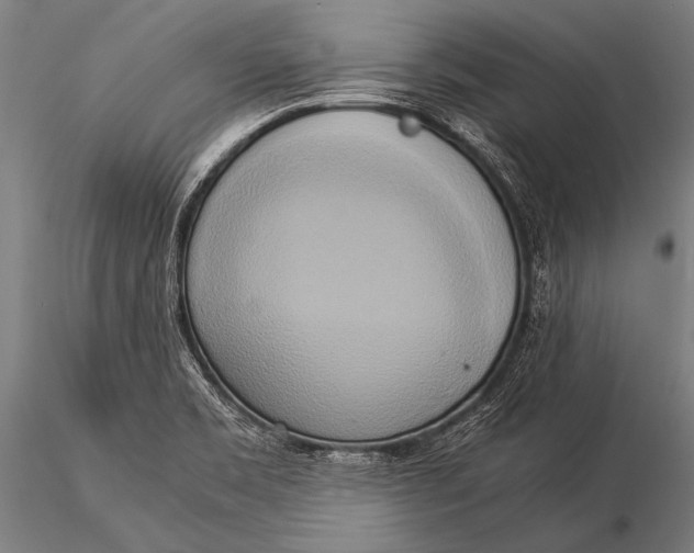 X0000116021469200912111340