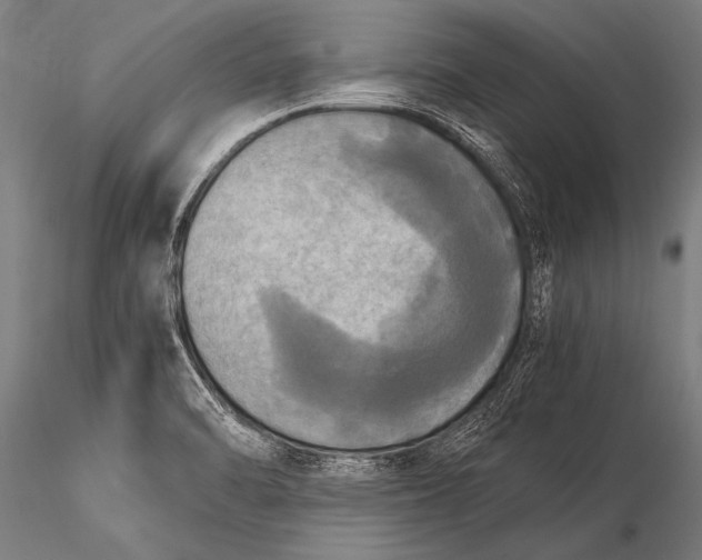 X0000116021470200912111340