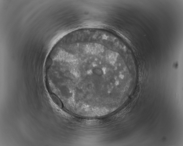 X0000116021471200912111340