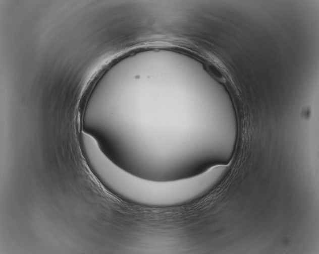 X0000116021472200912111340