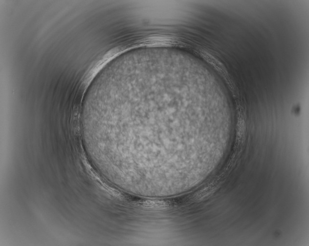 X0000116021473200912111340