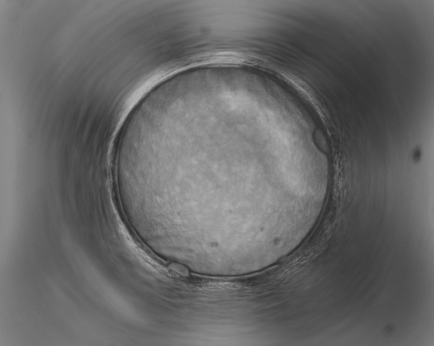 X0000116021475200912111340