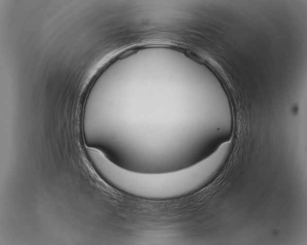 X0000116021477200912111340