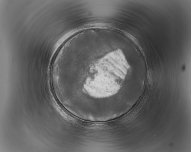 X0000116021482200912111340