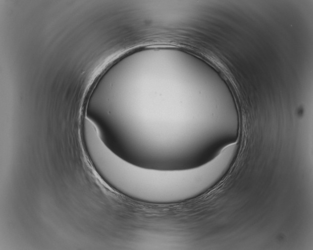 X0000116021485200912111340