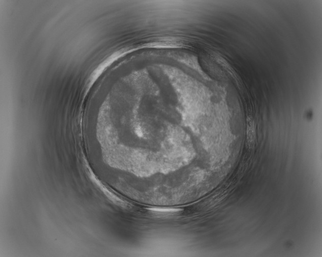 X0000116021487200912111340