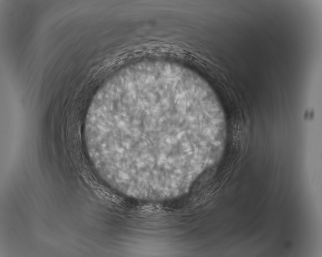 X0000116021489200912111339