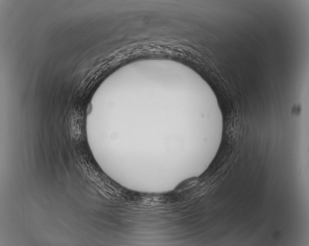 X0000116021490200912111339