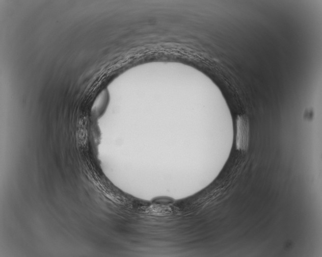 X0000116021491200912111339