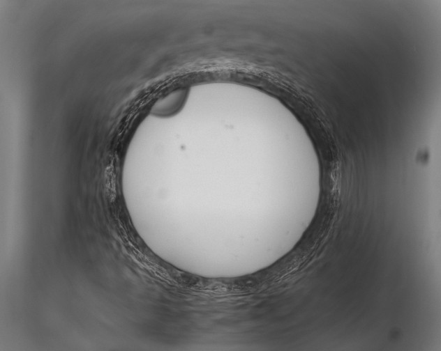 X0000116021493200912111339