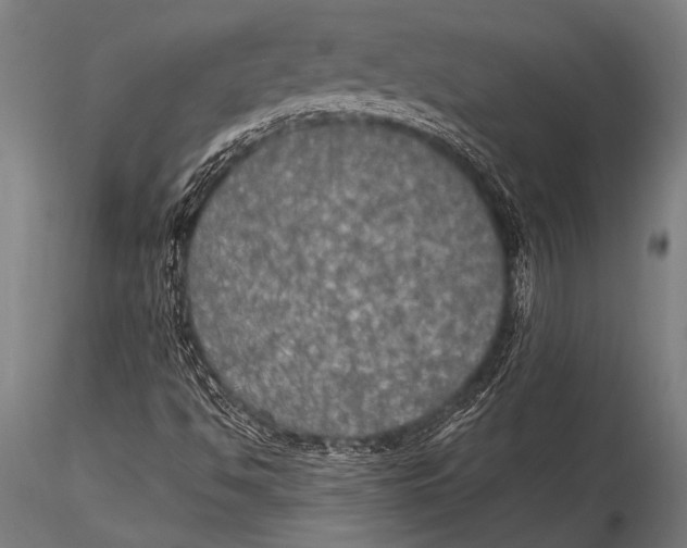 X0000116021494200912111339