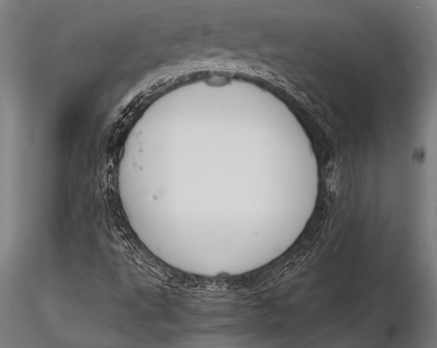 X0000116021495200912111339