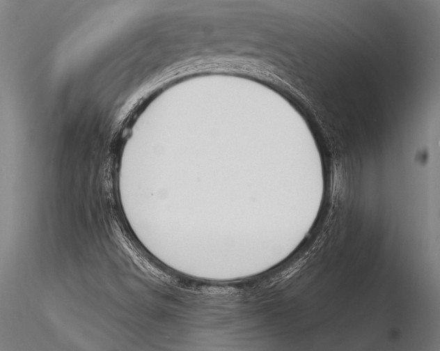 X0000116021498200912111339