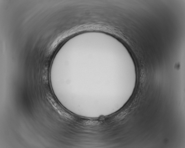 X0000116021499200912111339