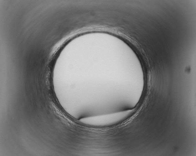 X0000116021502200912111339