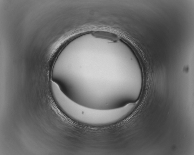 X0000116021503200912111339