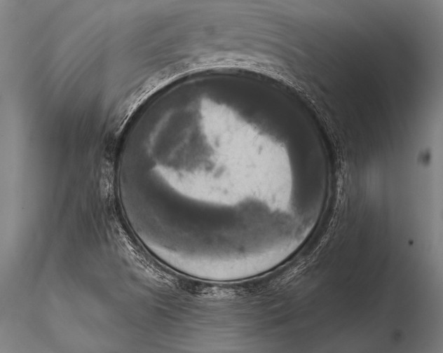 X0000116021505200912111339