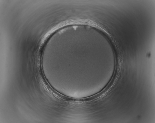 X0000116021506200912111339