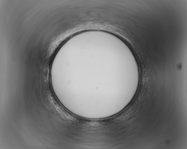 X0000116021507200912111339