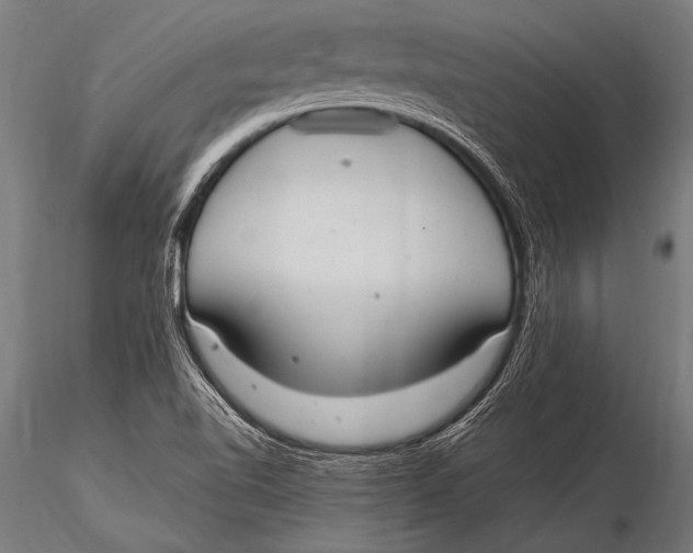 X0000116021510200912111339