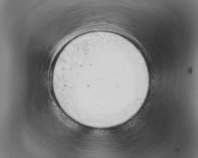 X0000116021514200912111339