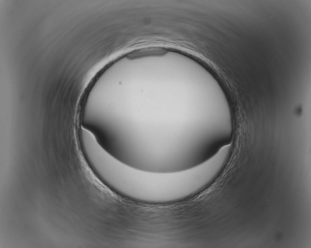 X0000116021518200912111339