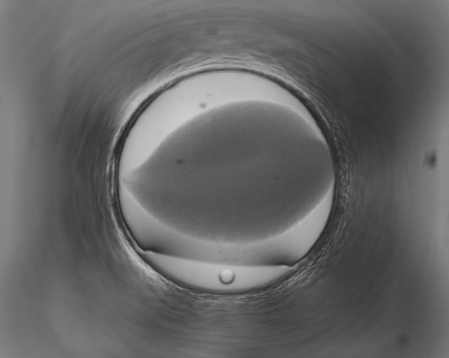 X0000116021519200912111339