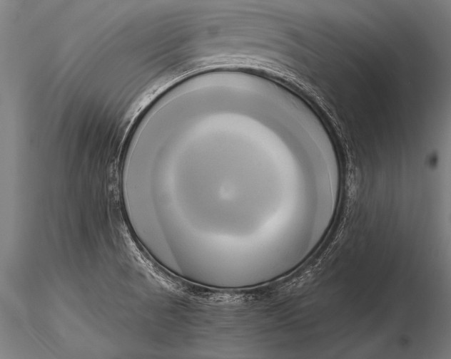 X0000116021521200912111339