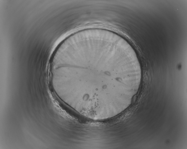 X0000116021522200912111339