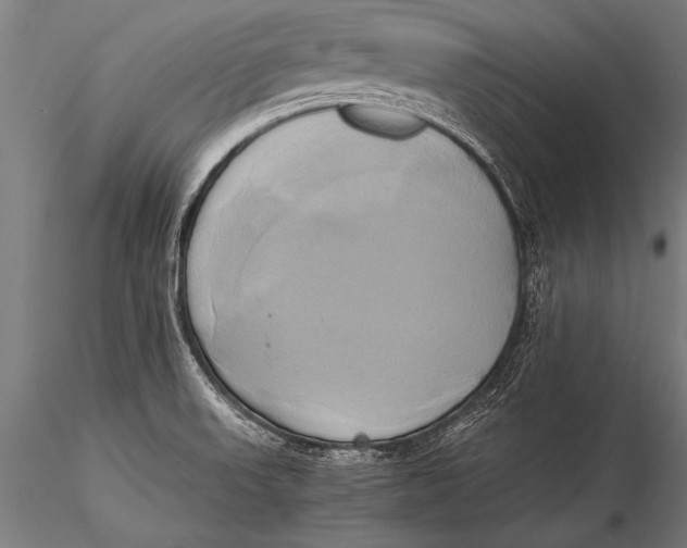 X0000116021523200912111339