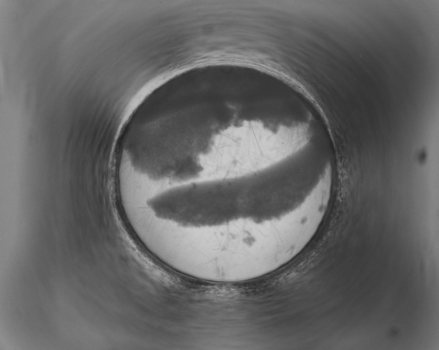 X0000116021525200912111339