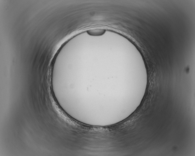 X0000116021526200912111339