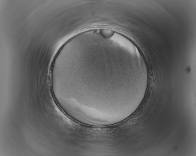 X0000116021527200912111339