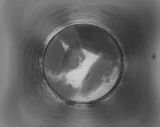 X0000116021529200912111339