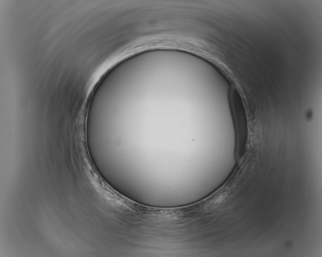 X0000116021530200912111339