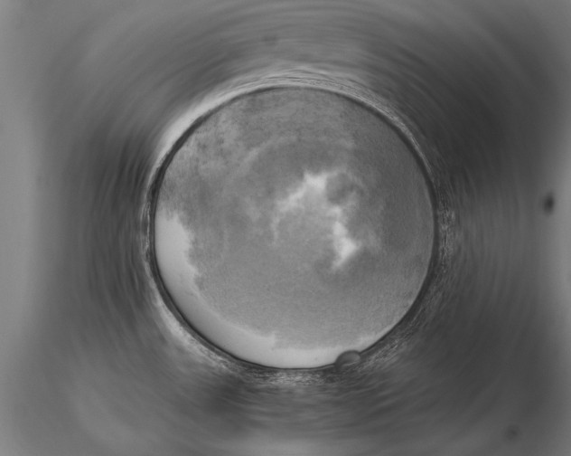 X0000116021531200912111339