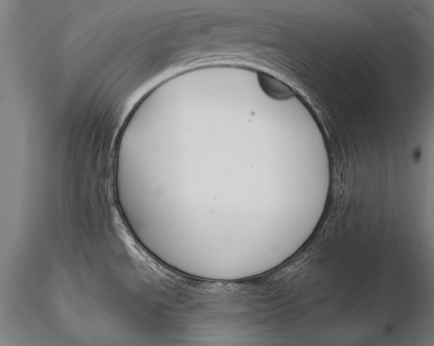 X0000116021534200912111339