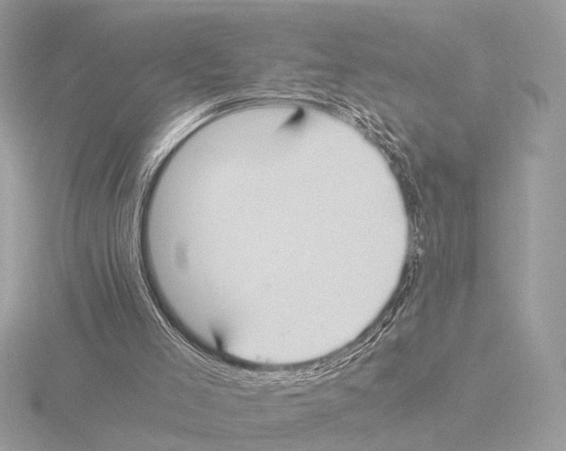 X0000116020005200912181159