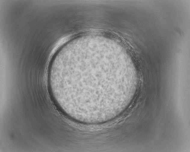 X0000116020006200912181159