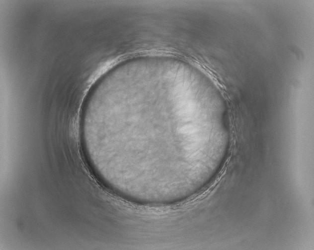 X0000116020008200912181159