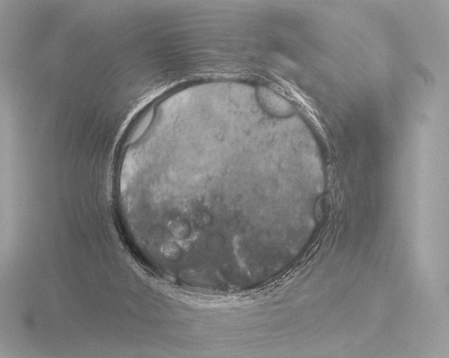 X0000116020012200912181159